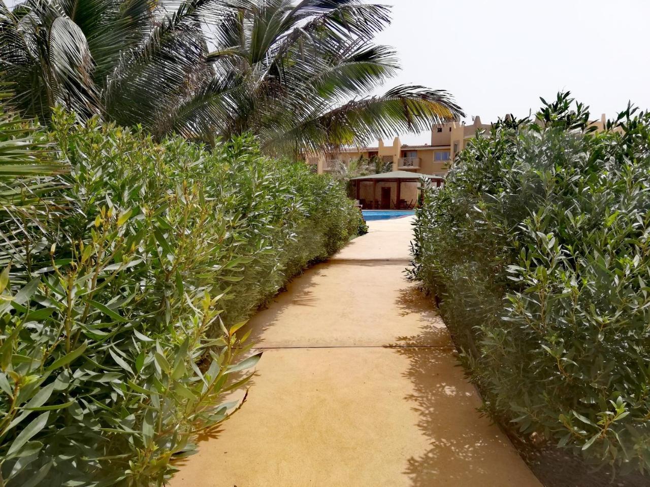 Apartment | In Tropical Resort | Pool | Close To Beach 圣玛丽亚 外观 照片
