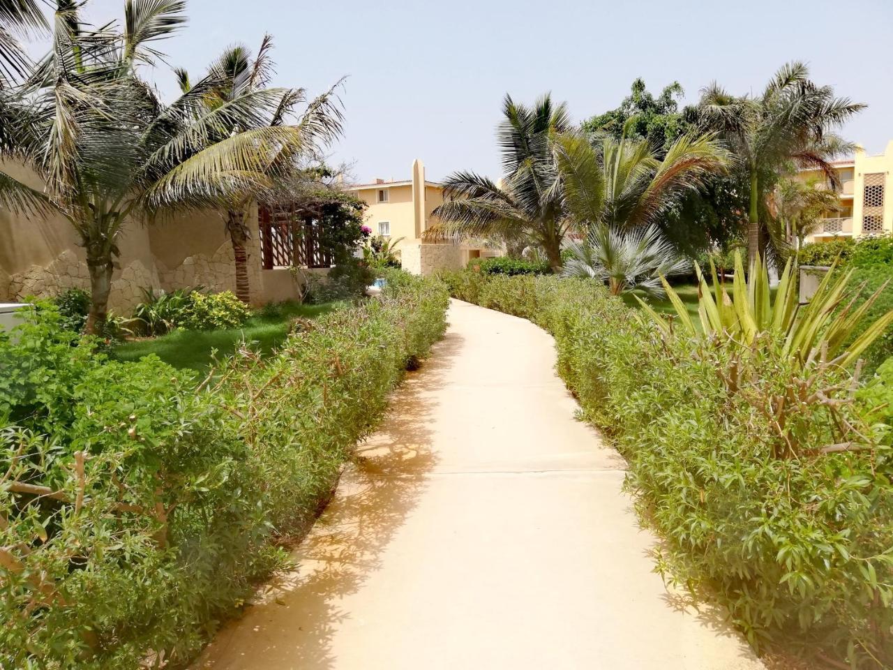 Apartment | In Tropical Resort | Pool | Close To Beach 圣玛丽亚 外观 照片