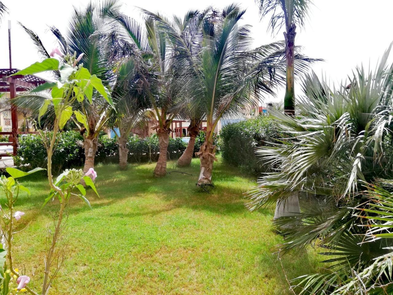 Apartment | In Tropical Resort | Pool | Close To Beach 圣玛丽亚 外观 照片